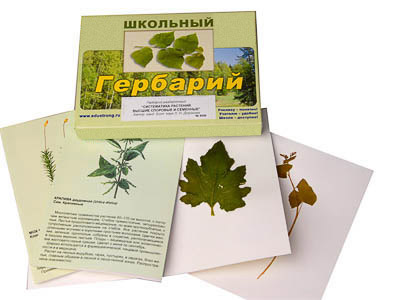 Гербарии раздаточные с аннотациями