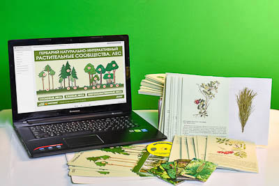 Гербарий натурально-интерактивный "Растительные сообщества. Лес"