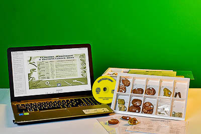 Коллекция натурально-интерактивная "Палеонтологическая"